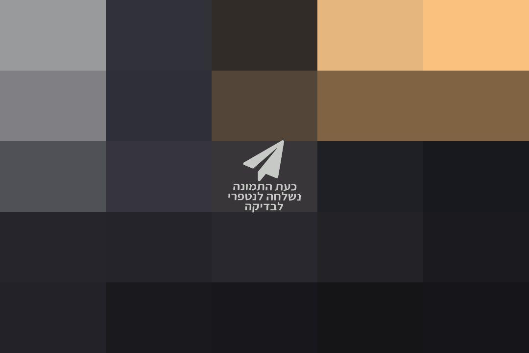 מעיל פוך Armani Armani