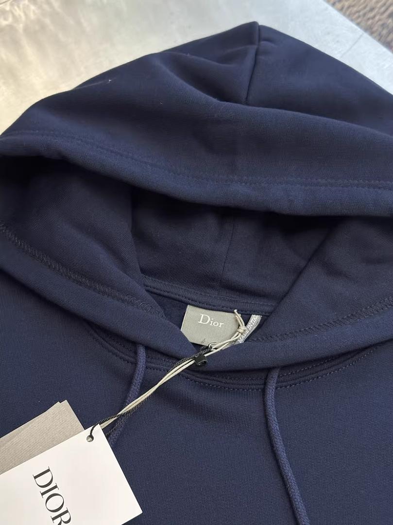 עגילים Dior Dior