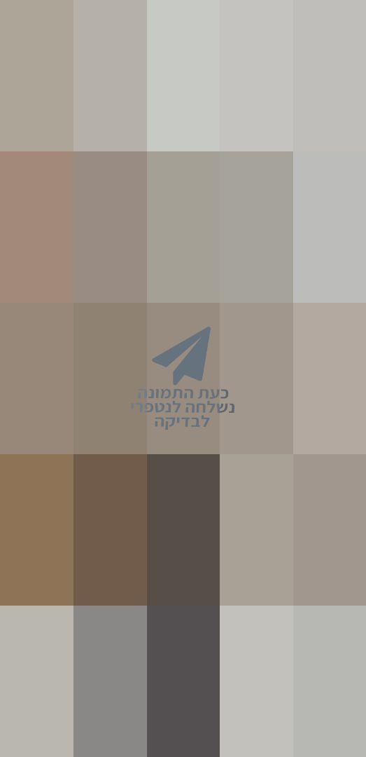תיק Pinko Pinko
