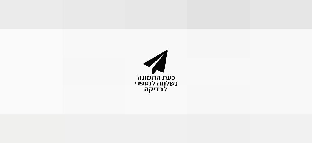 מעיל פוך Prada Prada